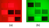 }3   F[iDF̔wiFjLEDƖƎ˂̉摜F(a) 630 nmA(b) 525 nm